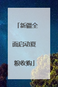 新疆全面启动夏粮收购