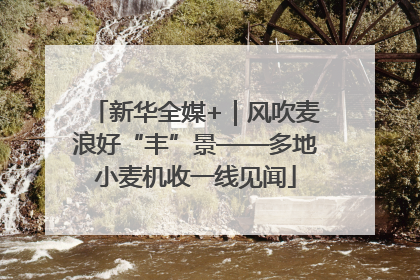 新华全媒+｜风吹麦浪好“丰”景——多地小麦机收一线见闻