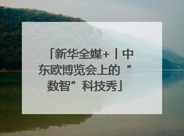新华全媒+丨中东欧博览会上的“数智”科技秀