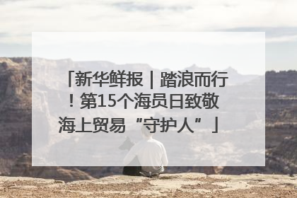 新华鲜报｜踏浪而行！第15个海员日致敬海上贸易“守护人”