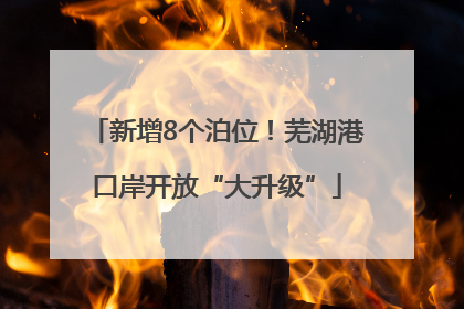 新增8个泊位！芜湖港口岸开放“大升级”