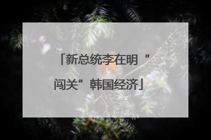 新总统李在明“闯关”韩国经济