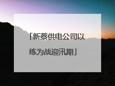 新蔡供电公司以练为战迎汛期