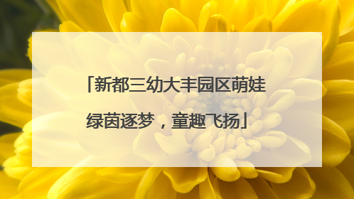 新都三幼大丰园区萌娃绿茵逐梦，童趣飞扬