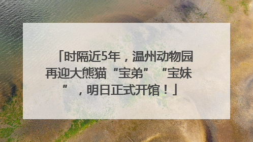 时隔近5年，温州动物园再迎大熊猫“宝弟”“宝妹”，明日正式开馆！