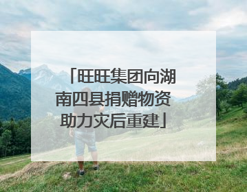 旺旺集团向湖南四县捐赠物资助力灾后重建