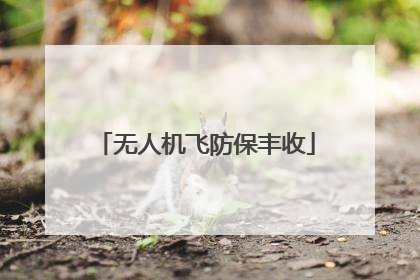 无人机飞防保丰收