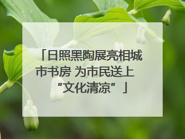 日照黑陶展亮相城市书房 为市民送上“文化清凉”