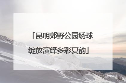 昆明郊野公园绣球绽放演绎多彩夏韵