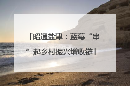 昭通盐津：蓝莓“串”起乡村振兴增收链