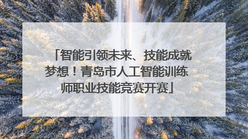 智能引领未来、技能成就梦想！青岛市人工智能训练师职业技能竞赛开赛