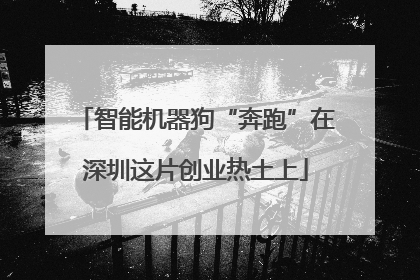 智能机器狗“奔跑”在深圳这片创业热土上