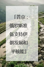 普京：俄罗斯准备支持伊朗发展和平核能