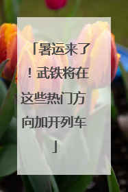 暑运来了！武铁将在这些热门方向加开列车