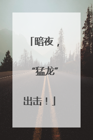 暗夜，“猛龙”出击！