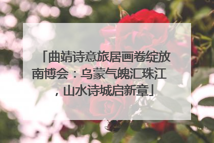 曲靖诗意旅居画卷绽放南博会：乌蒙气魄汇珠江，山水诗城启新章