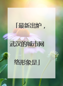 最新出炉，武汉的城市网络形象是