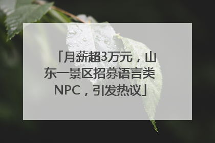 月薪超3万元，山东一景区招募语言类NPC，引发热议