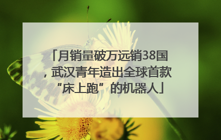 月销量破万远销38国，武汉青年造出全球首款“床上跑”的机器人