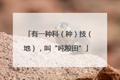 有一种科（种）技（地），叫“吨粮田”