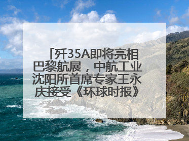 歼35A即将亮相巴黎航展，中航工业沈阳所首席专家王永庆接受《环球时报》专访：未来数量可以有很多