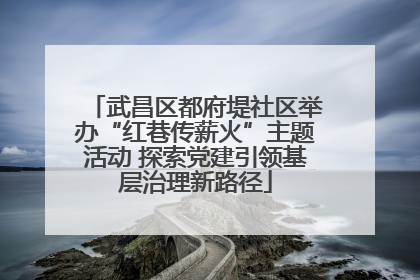 武昌区都府堤社区举办“红巷传薪火”主题活动 探索党建引领基层治理新路径