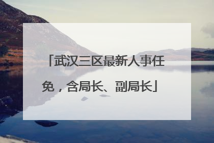 武汉三区最新人事任免，含局长、副局长