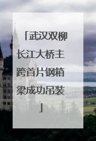 武汉双柳长江大桥主跨首片钢箱梁成功吊装