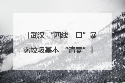 武汉 “四线一口”暴露垃圾基本 “清零”