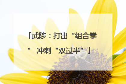 武陟：打出“组合拳” 冲刺“双过半”