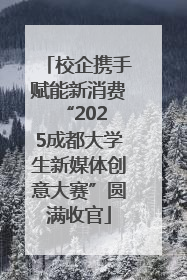校企携手赋能新消费 “2025成都大学生新媒体创意大赛”圆满收官