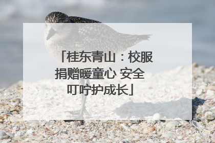 桂东青山：校服捐赠暖童心 安全叮咛护成长