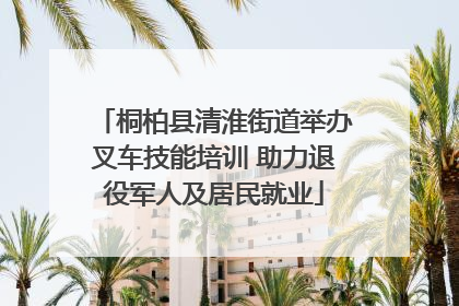 桐柏县清淮街道举办叉车技能培训 助力退役军人及居民就业