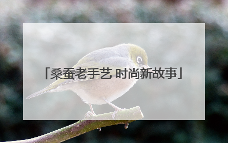 桑蚕老手艺 时尚新故事