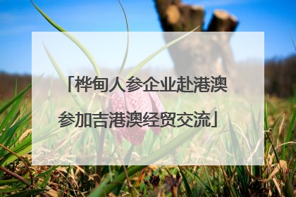 桦甸人参企业赴港澳参加吉港澳经贸交流