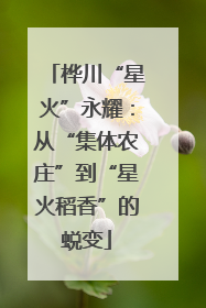 桦川“星火”永耀：从“集体农庄”到“星火稻香”的蜕变