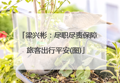 梁兴彬：尽职尽责保障旅客出行平安(图)