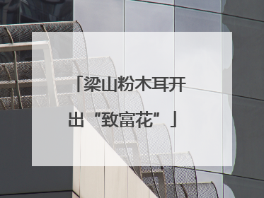 梁山粉木耳开出“致富花”