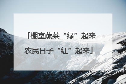 棚室蔬菜“绿”起来 农民日子“红”起来