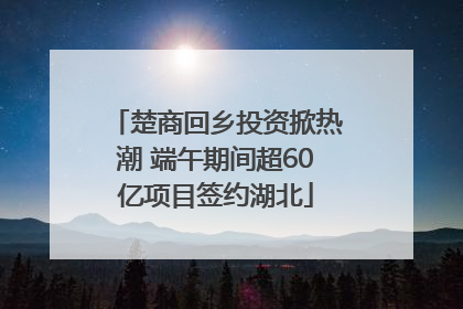 楚商回乡投资掀热潮 端午期间超60亿项目签约湖北