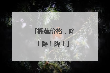 榴莲价格，降！降！降！