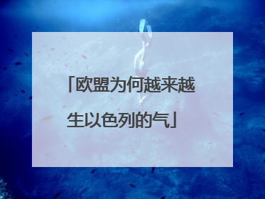 欧盟为何越来越生以色列的气
