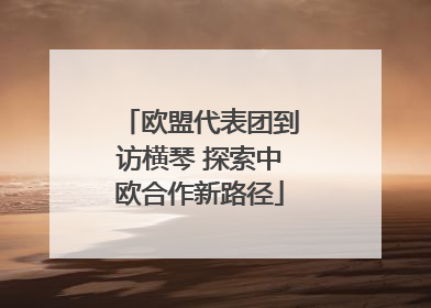 欧盟代表团到访横琴 探索中欧合作新路径