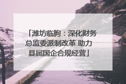 潍坊临朐：深化财务总监委派制改革 助力县属国企合规经营
