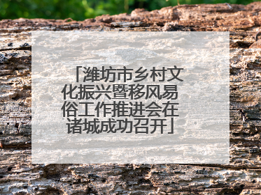 潍坊市乡村文化振兴暨移风易俗工作推进会在诸城成功召开