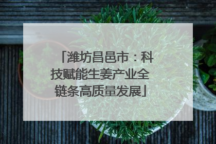 潍坊昌邑市：科技赋能生姜产业全链条高质量发展