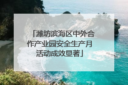 潍坊滨海区中外合作产业园安全生产月活动成效显著
