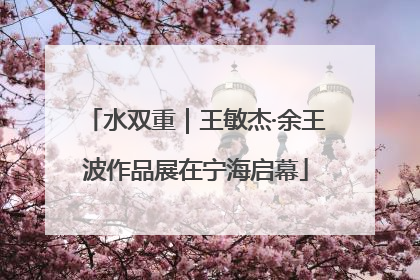 水双重｜王敏杰·余王波作品展在宁海启幕