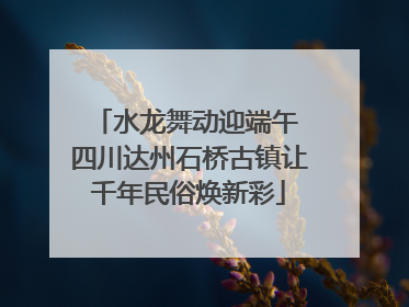 水龙舞动迎端午 四川达州石桥古镇让千年民俗焕新彩