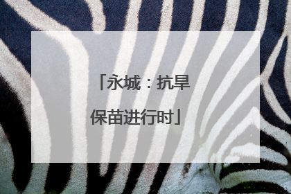 永城：抗旱保苗进行时